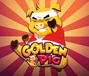 Golden Pig